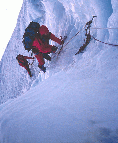Cimbing up through the ice cliff