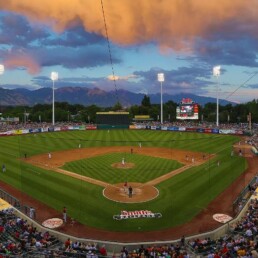 Salt Lake Bees