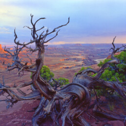 Canyonlands