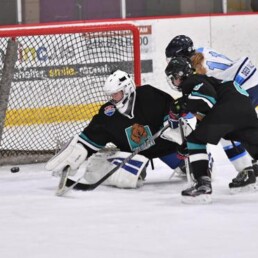 Womens's Hockey: Lady Grizzlies