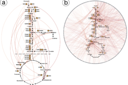 Two visualizations of metabolic networks